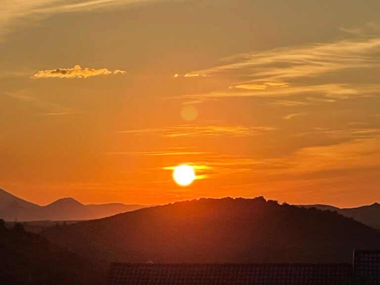 WhatsApp-Image-2024-07-01-at-7.06.27-PM